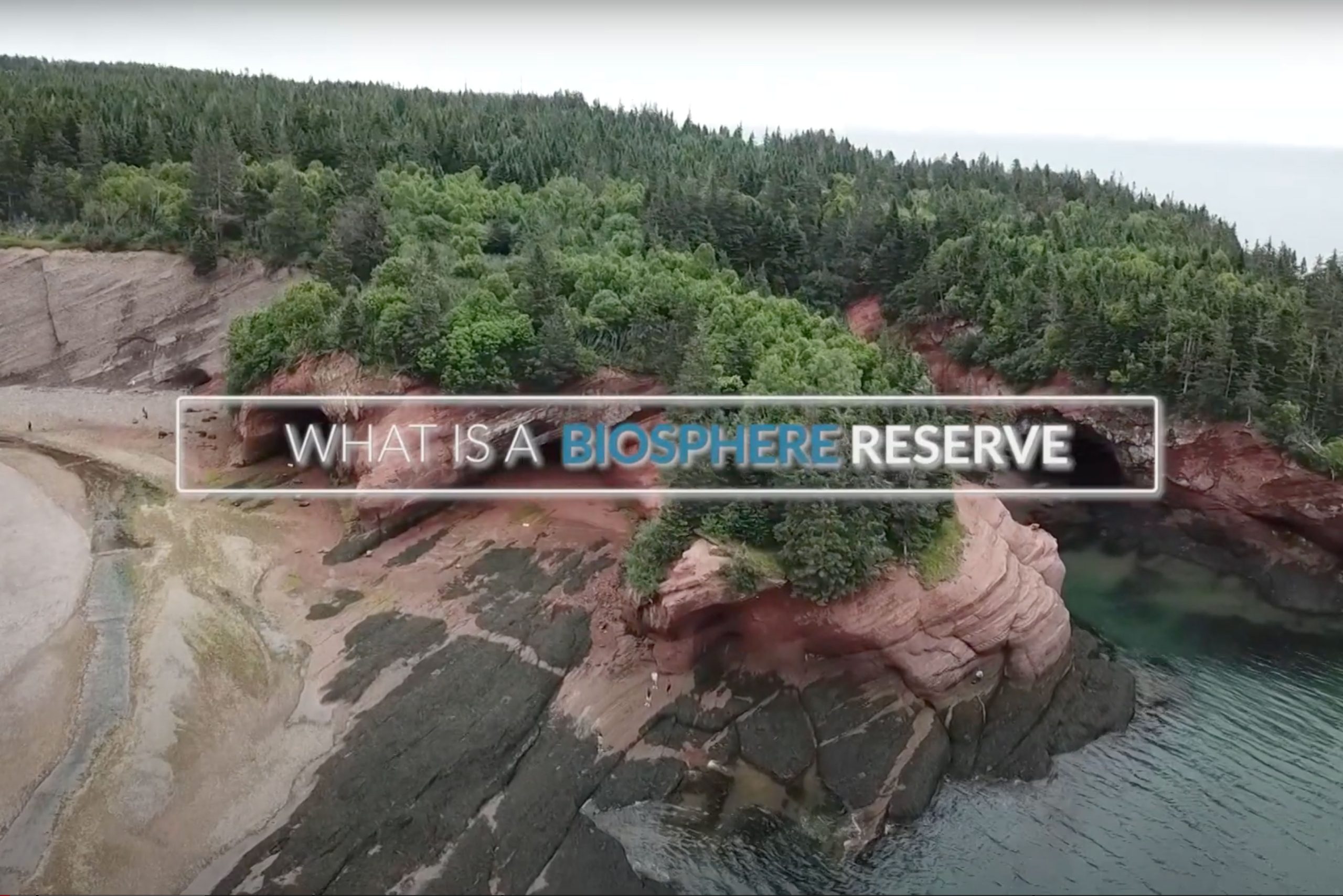 What is a Biosphere