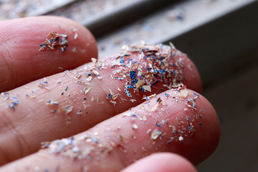 Microplastics: a Macro Problem