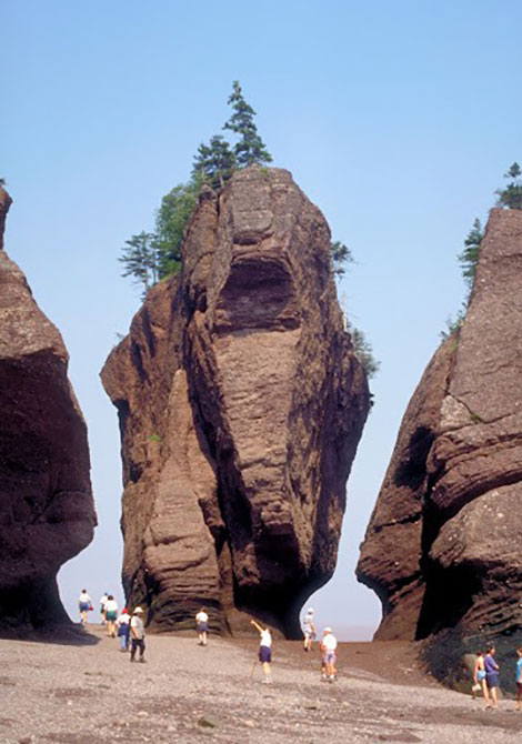 Hopewell Rocks