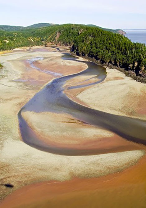 Point Wolfe River Estuary